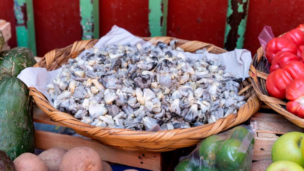 Gastronomía mexicana:  huitlacoche
